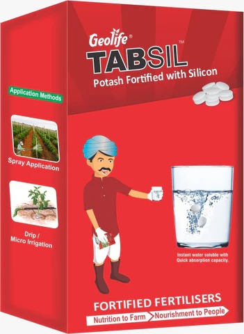 Tabsil 