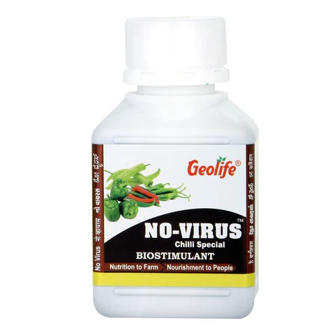 No Virus Chilli Special