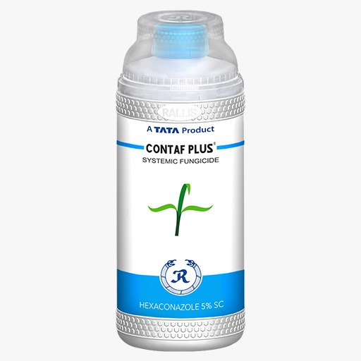  Contaf Plus 