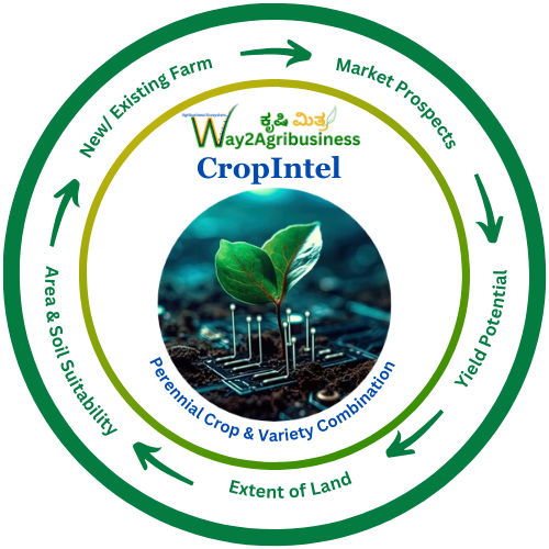 Crop Intel