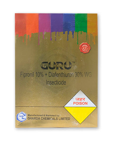  Guru 