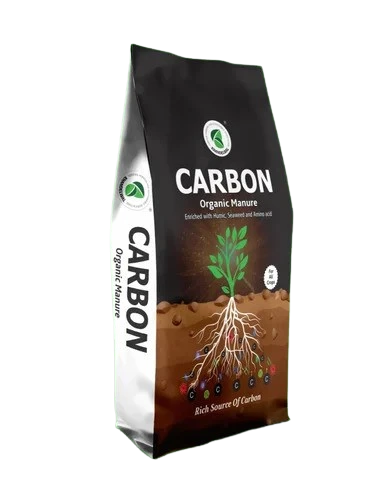  Carbon 