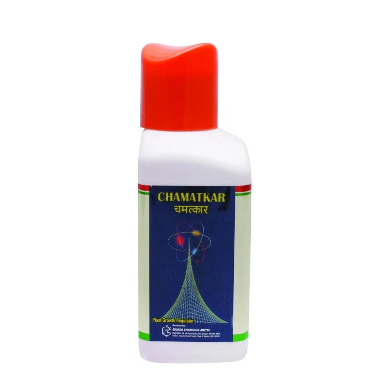  Chamatkar 