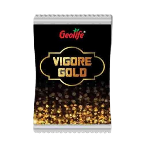  Vigore Gold 