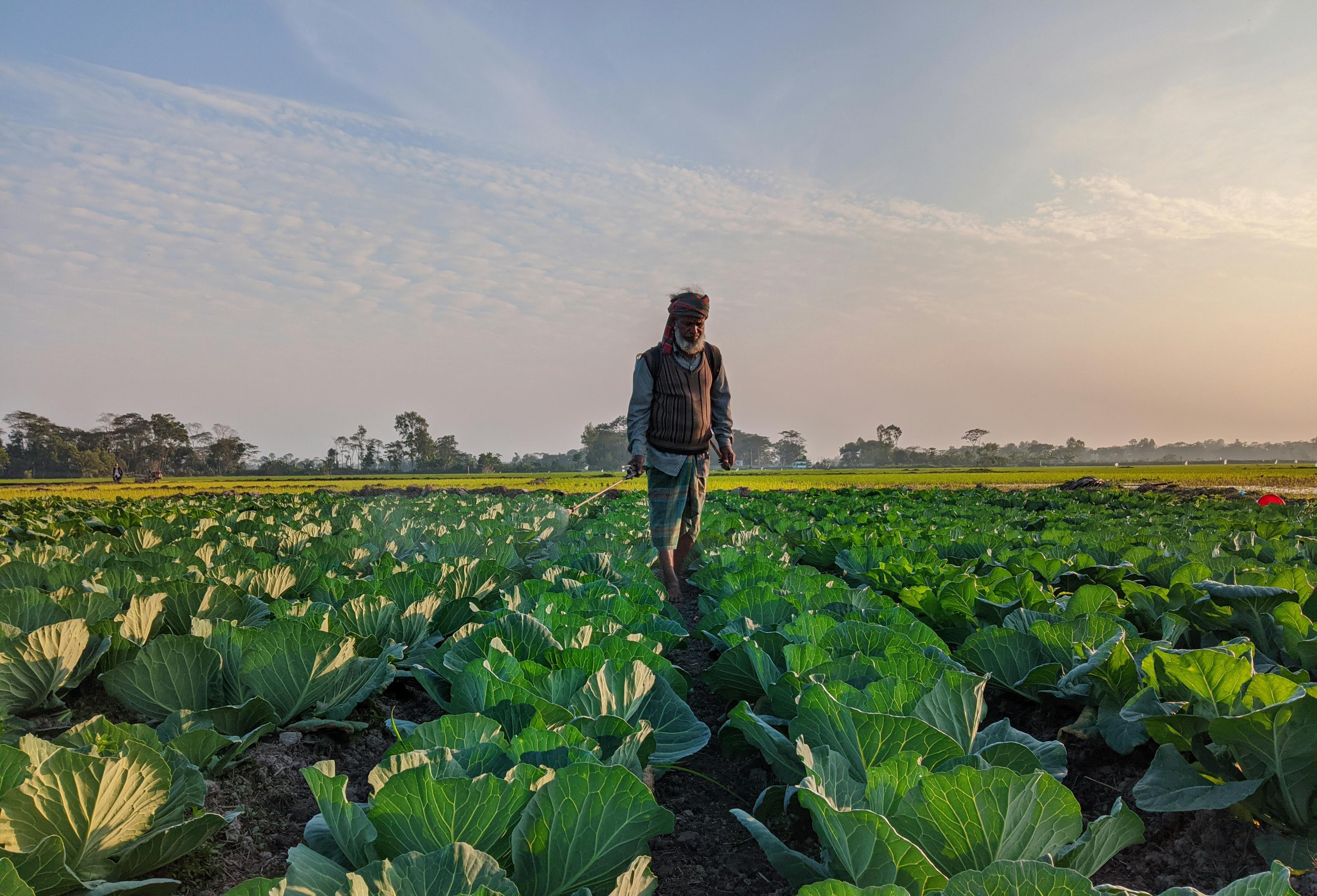 Farmer with vegetables