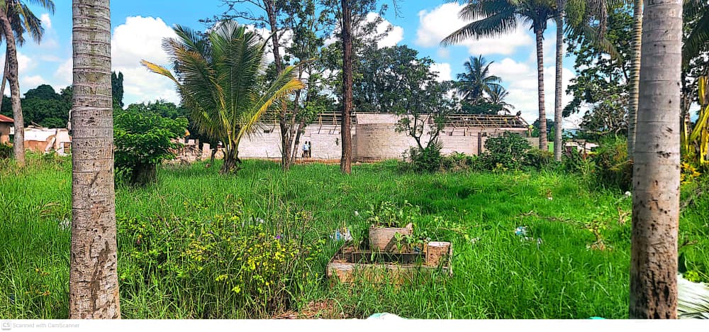 Post image 5