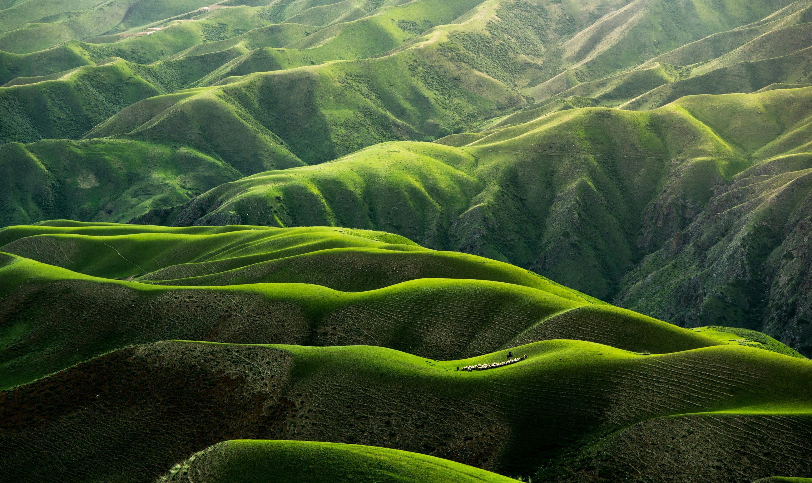 Huge green hills.