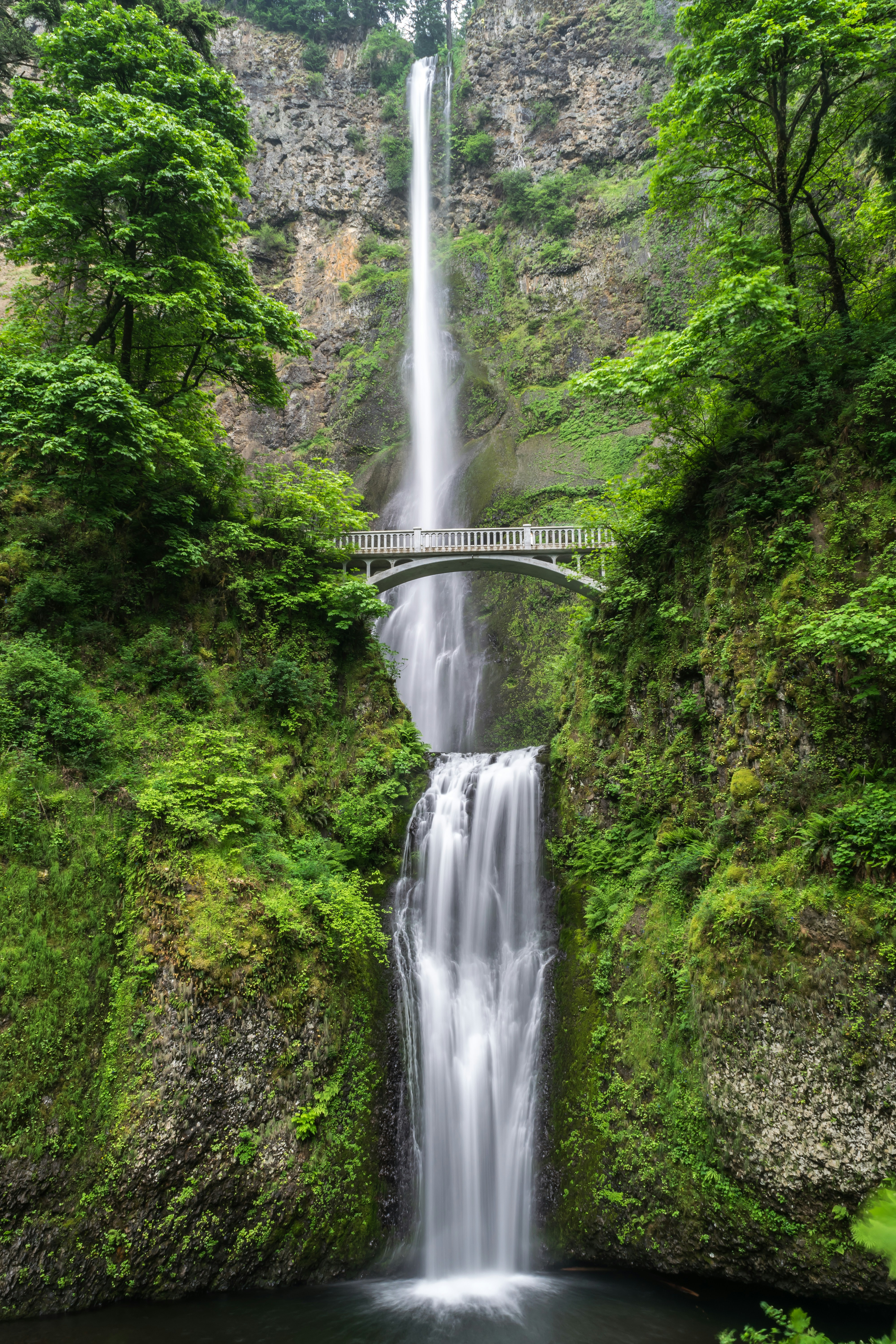 A waterfall going underneath a bridge with lush greenery around them.