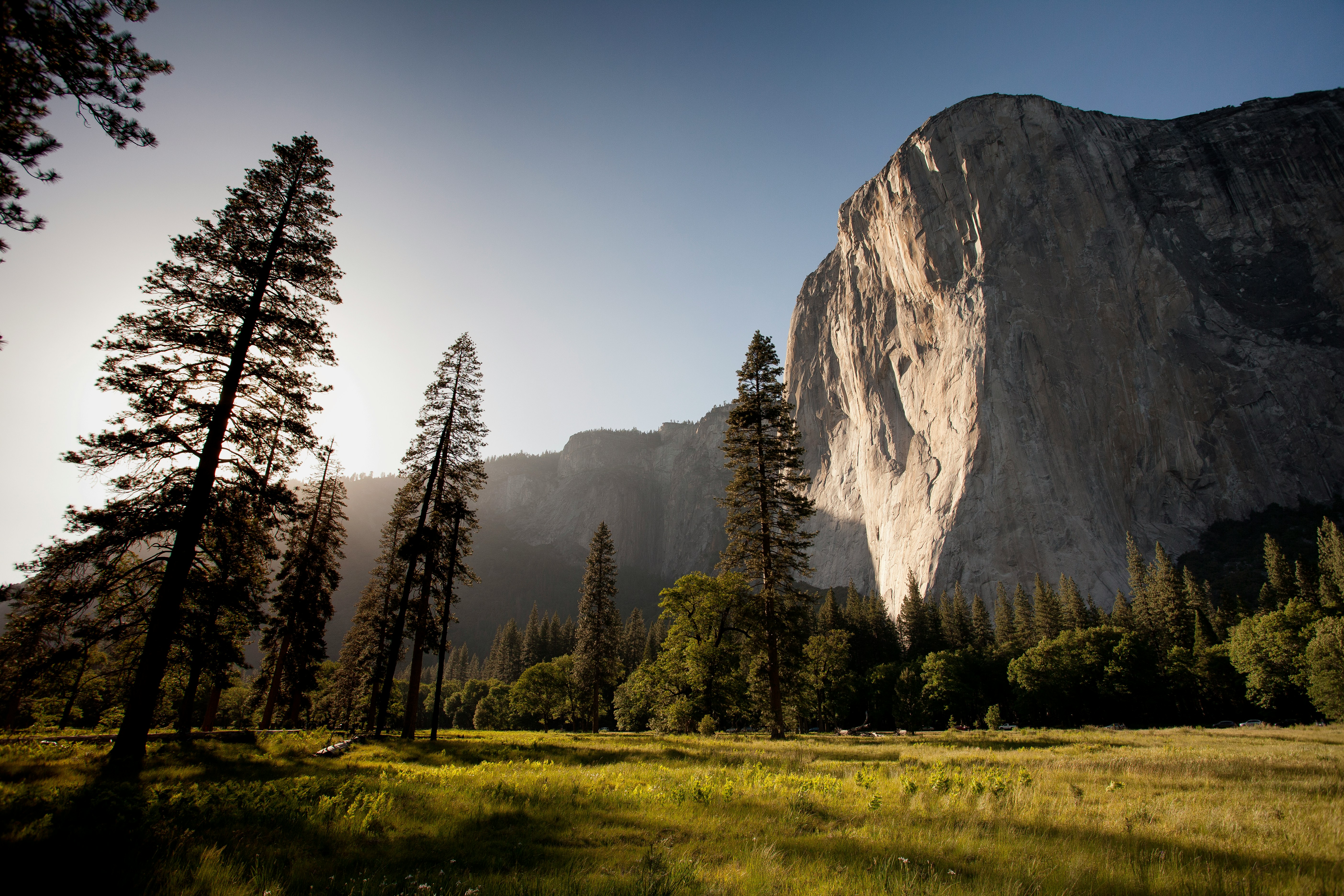 A small tree pass in front of huge cliffs.