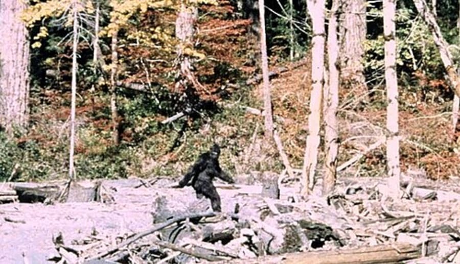 The Patterson-Gimlin film, 1967