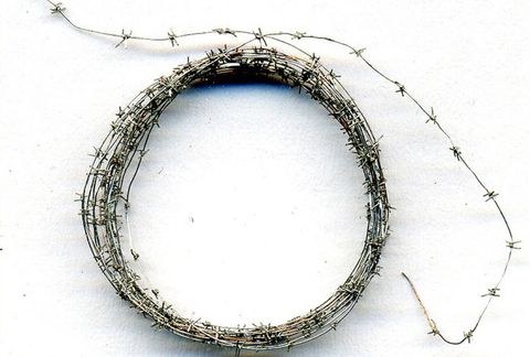 Barbed wire 1000 mm (metall)