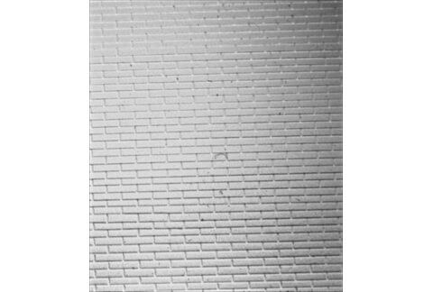 Brickwork`s texture (white) 20х30 sm