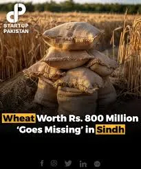 Thousands of wheat sacks stolen and spoiled in wheat procurement centres in Sindh