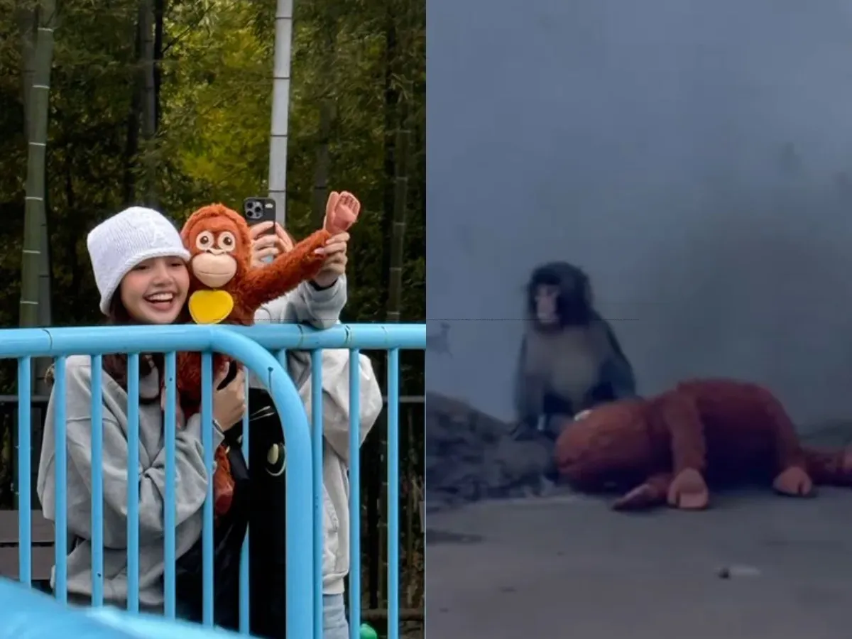 BlackPink's Lisa Shares Adorable Moments With Viral Monkey Punch at Ichikawa City Zoo In Japan