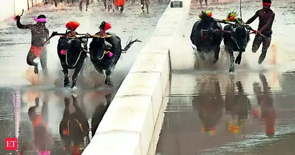 Supreme Court dismisses plea against holding of 'Kambala' outside two districts of Karnataka