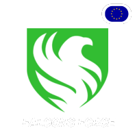 Falcons Force