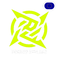Young Ninjas