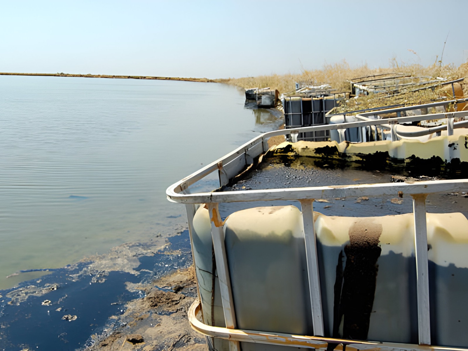 After Petronas, unanswered environmental questions abound