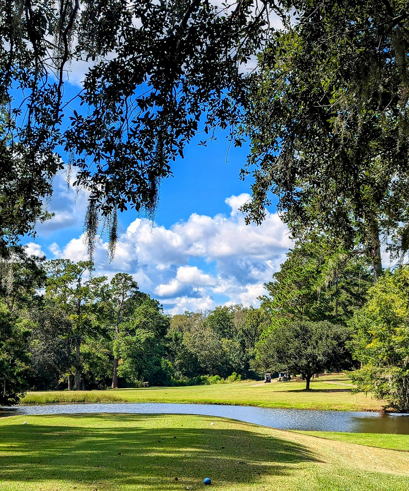 Summerville Country Club image