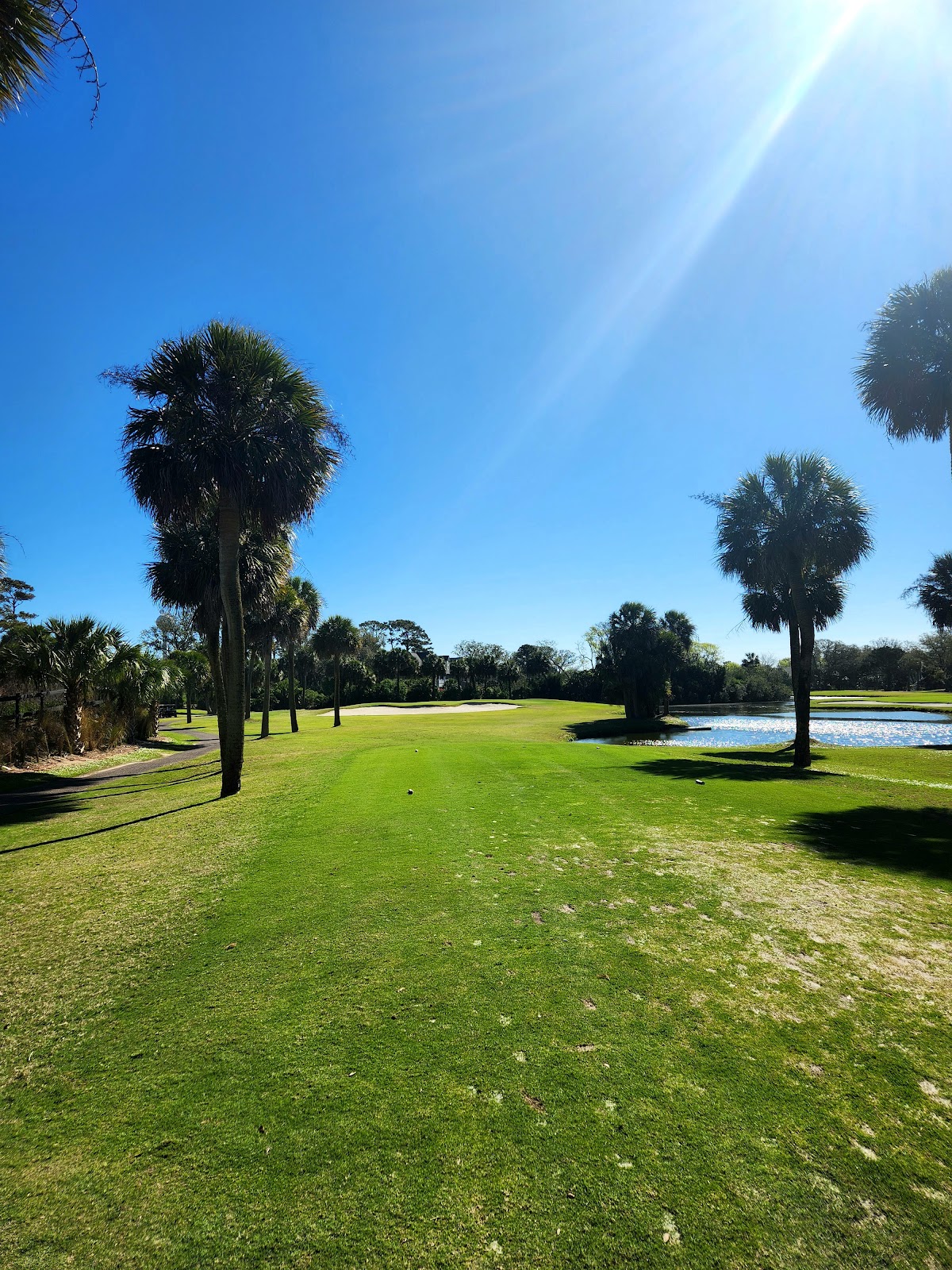 The Plantation Course at Edisto image