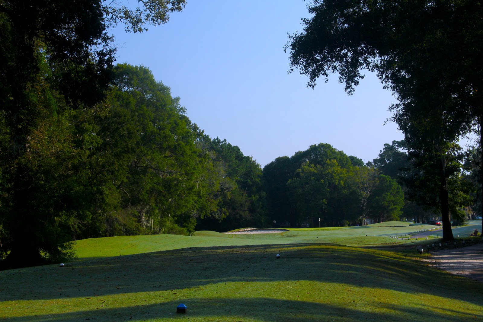 Shadowmoss Golf & Country Club image