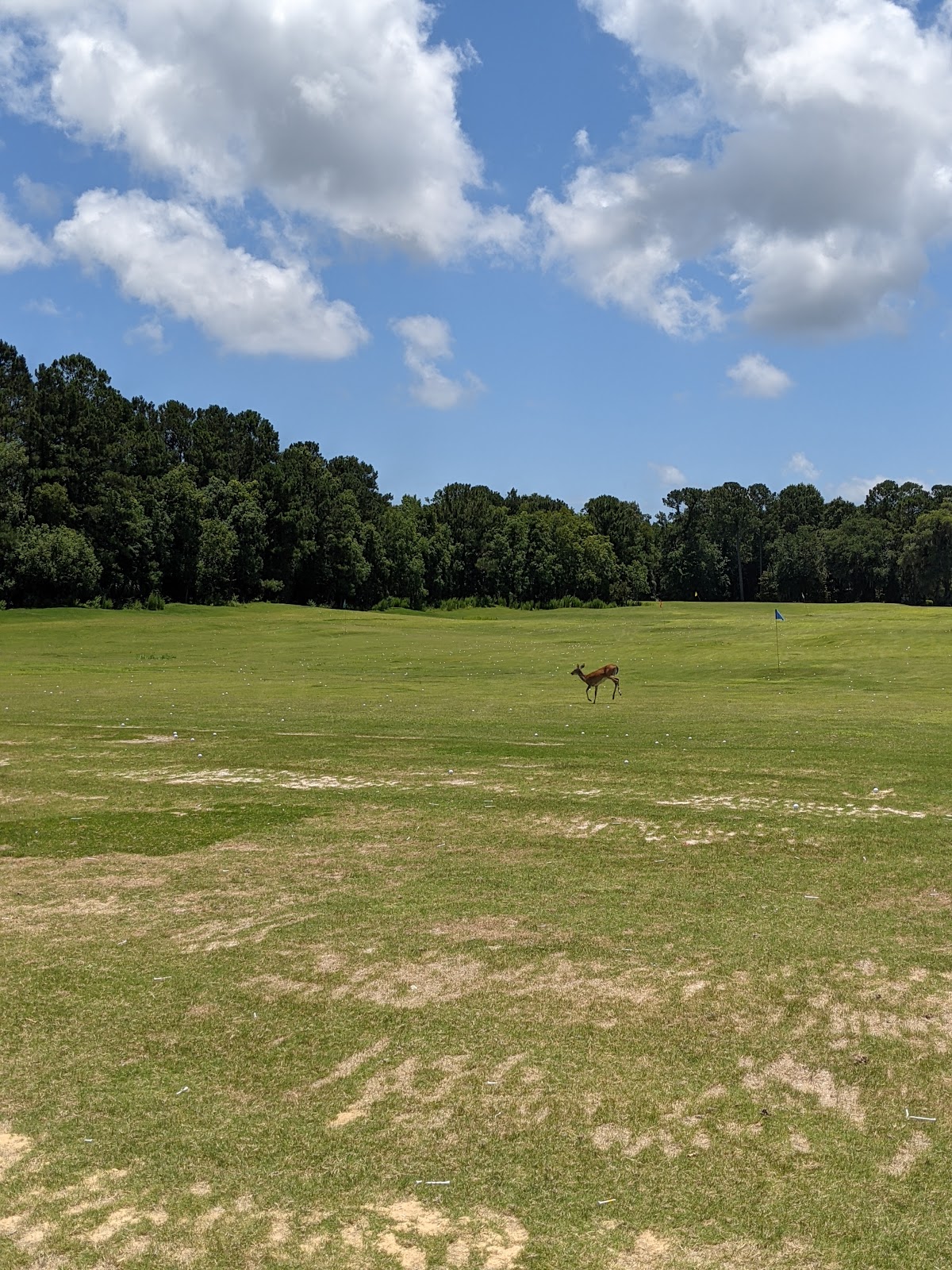 Dunes West Golf and River Club