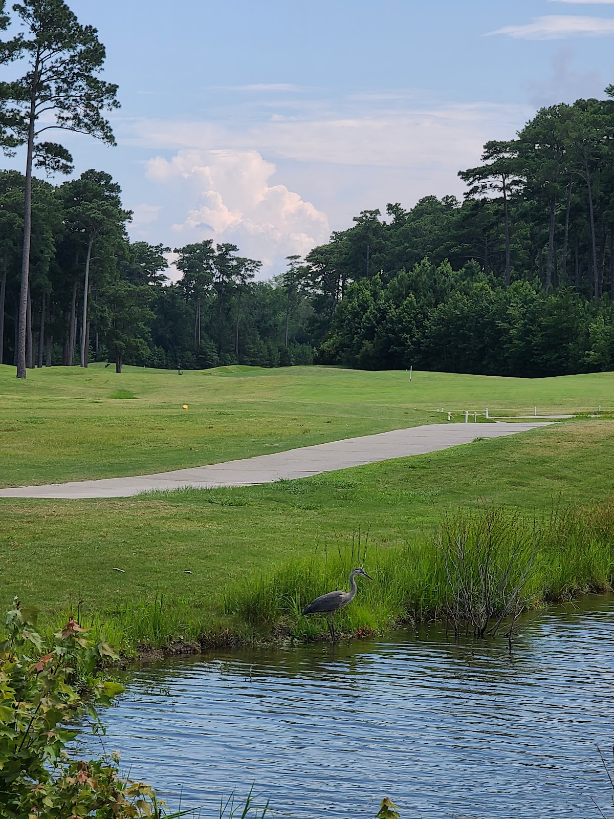 Red Wing Lake Golf Course - Golf Course