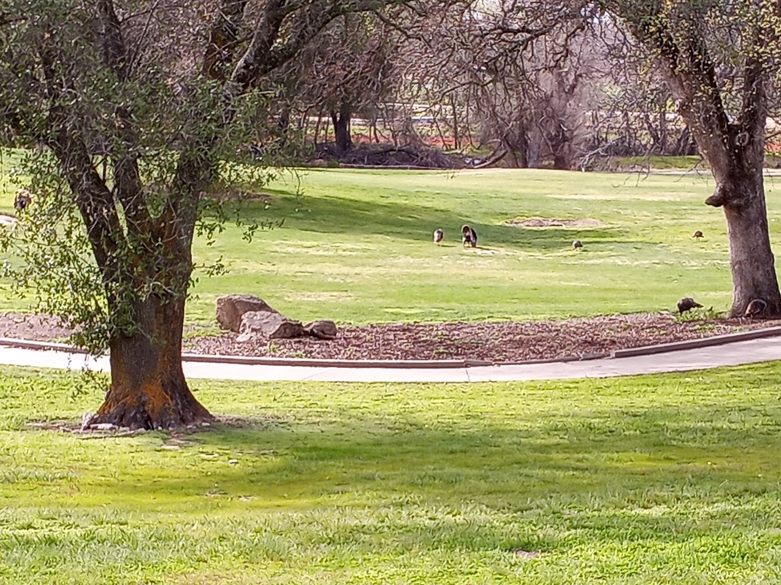 Turkey Creek Golf Club