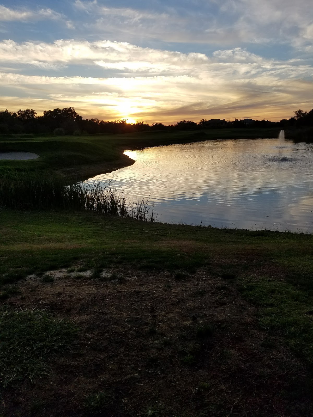 Morgan Creek Golf Club - Golf Course