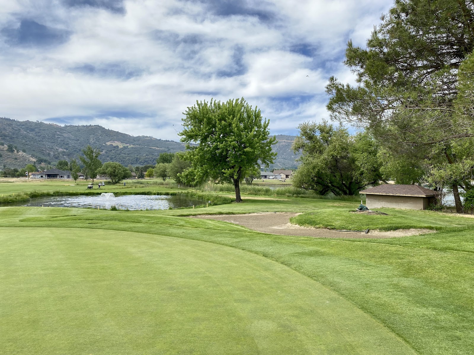 Oak Tree Country Club Golf Course & Mulligan Room Restaurant