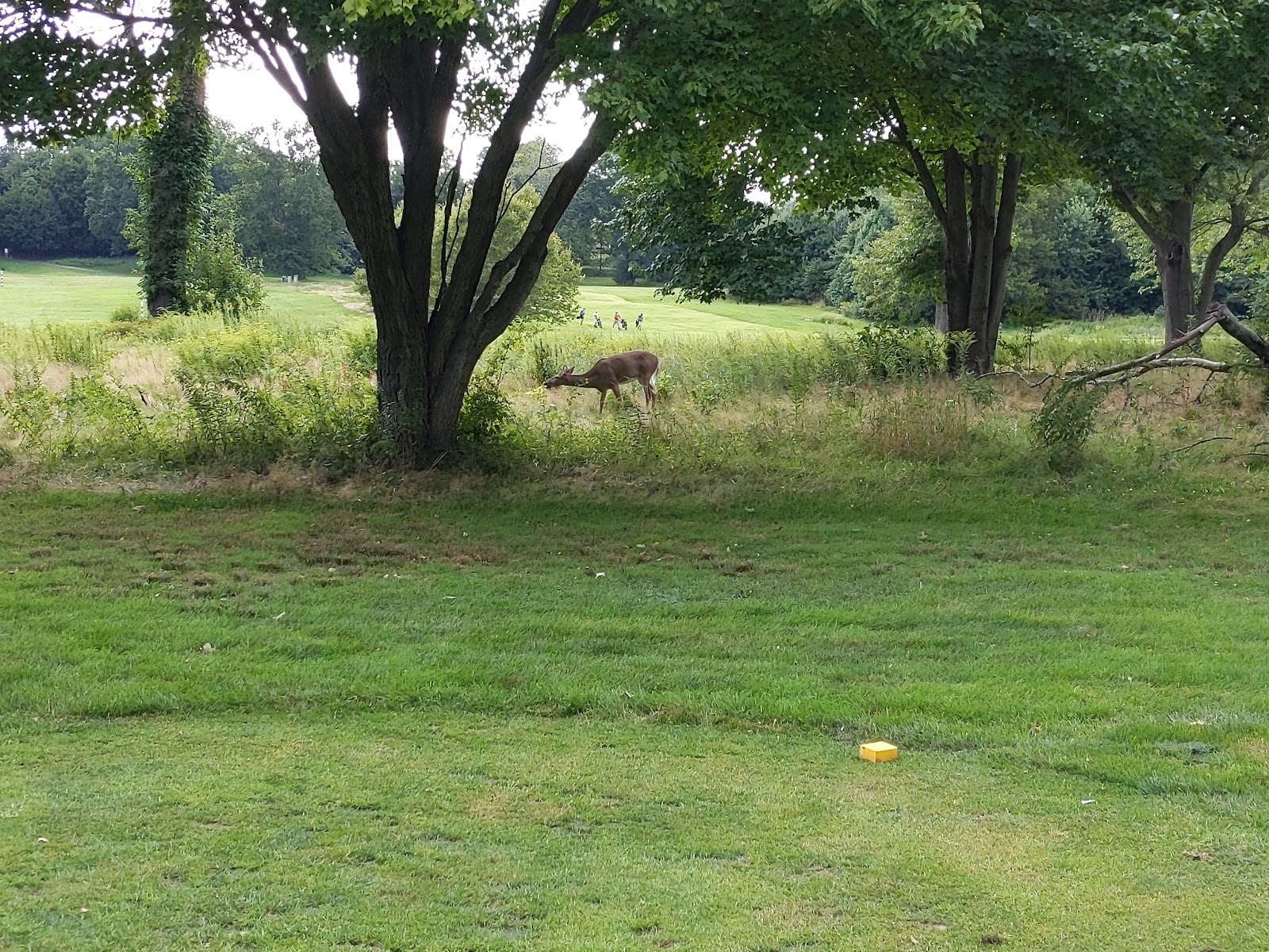 Goodwin Park Golf Course