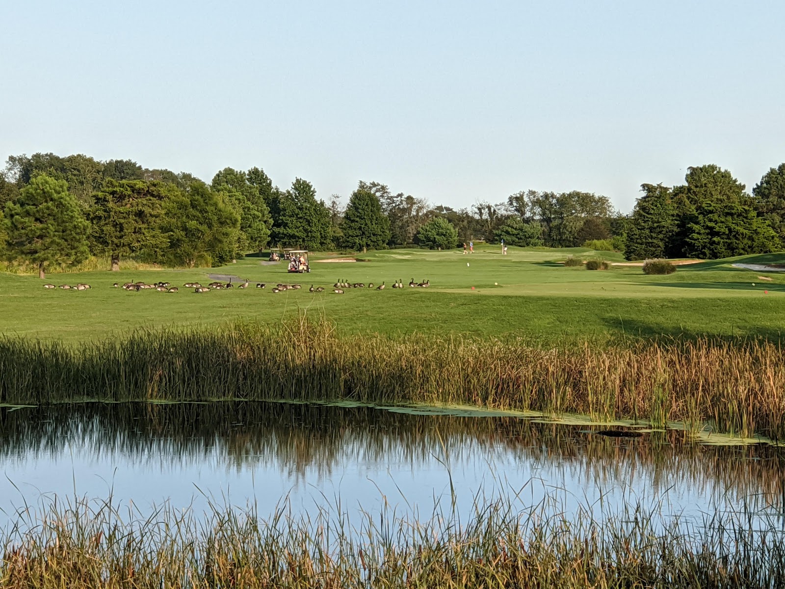 The Rookery Golf Course - Golf Course