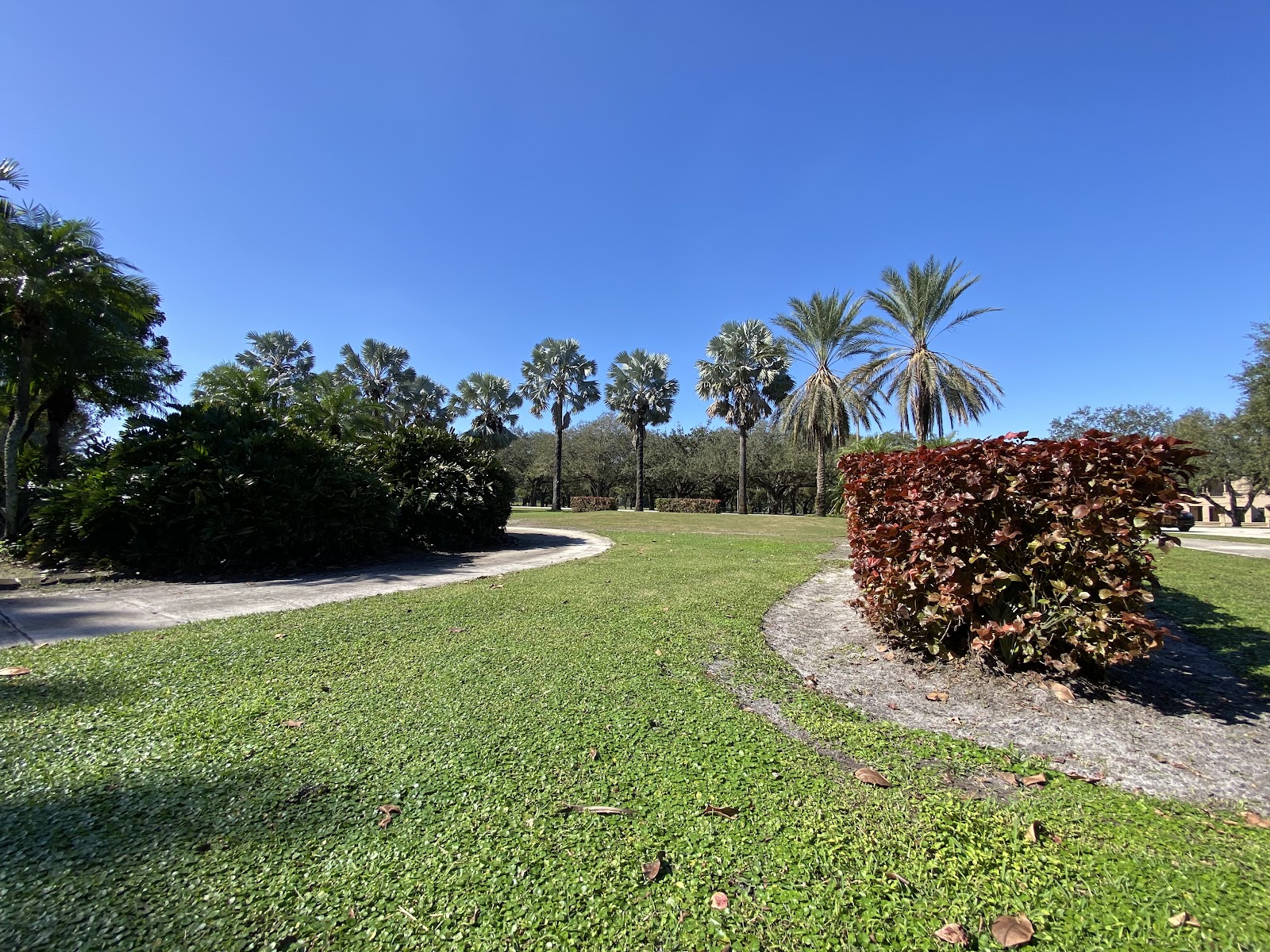 Miami Springs Golf & Country Club