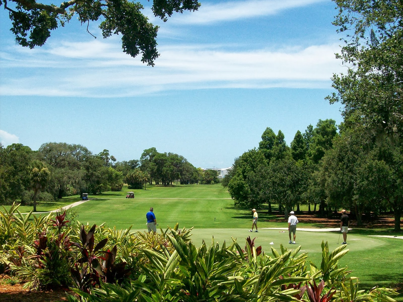 Dunedin Golf Club - Golf Course