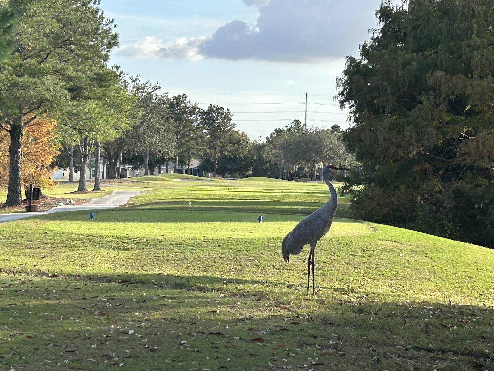 Plantation Palms Golf Club
