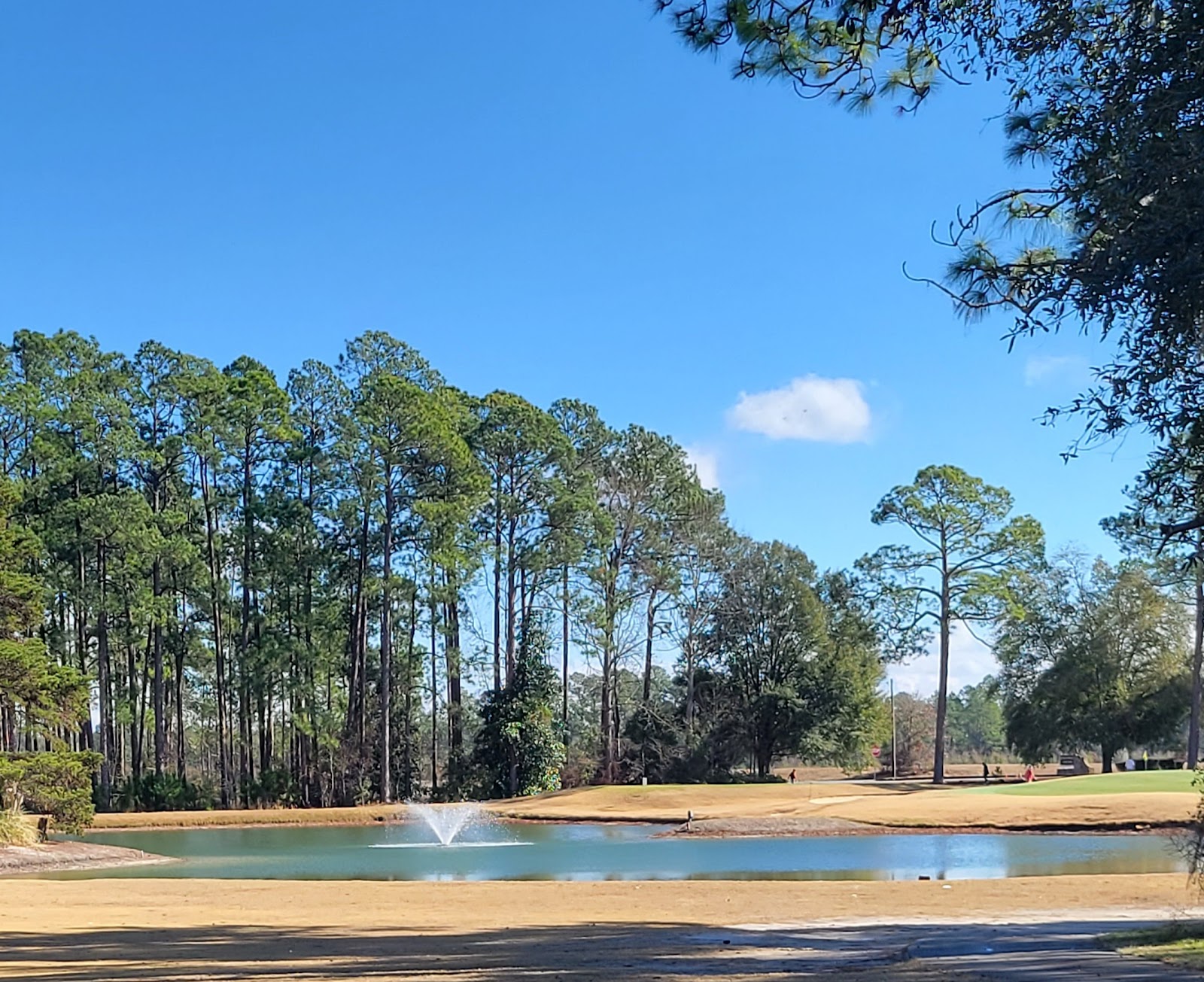 Little Ocmulgee Wallace Adams Golf Course - Golf Course