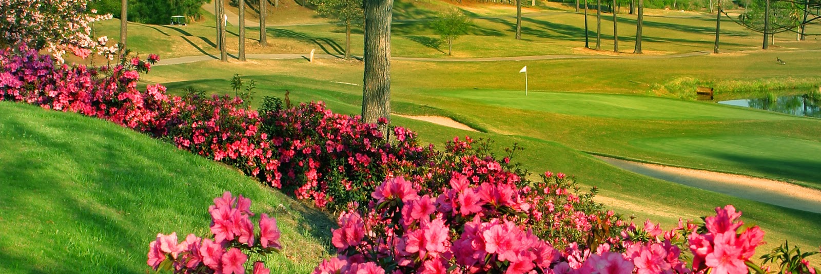 Chapel Hills Golf Club - Golf Course