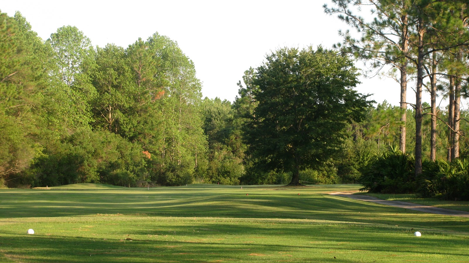 Pine Forest Country Club