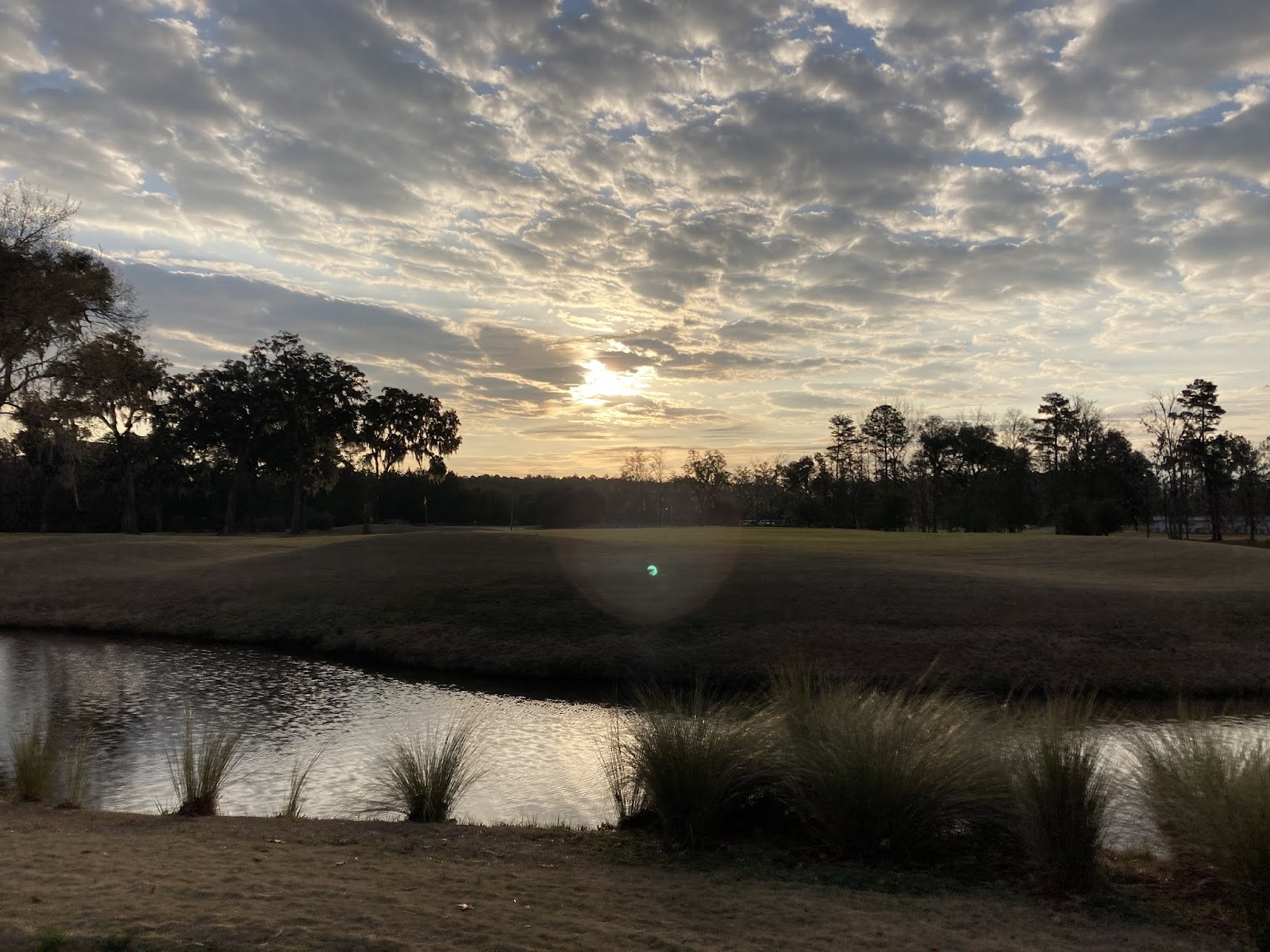 Richmond Hill Golf Club - Golf Course