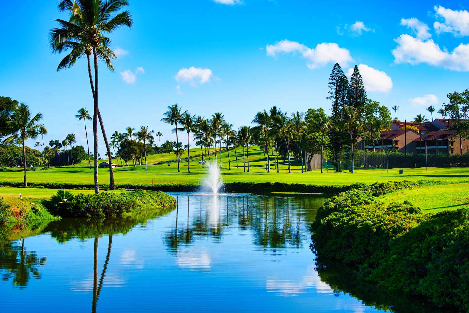 Ka'Anapali Golf Courses
