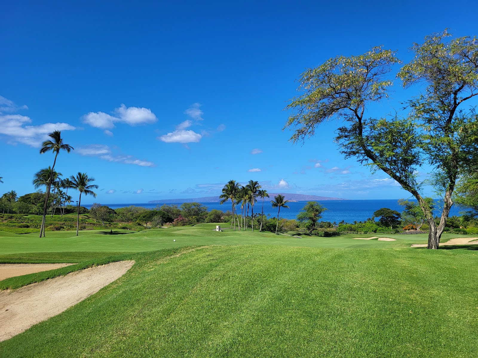 Emerald Golf Course - Golf Course