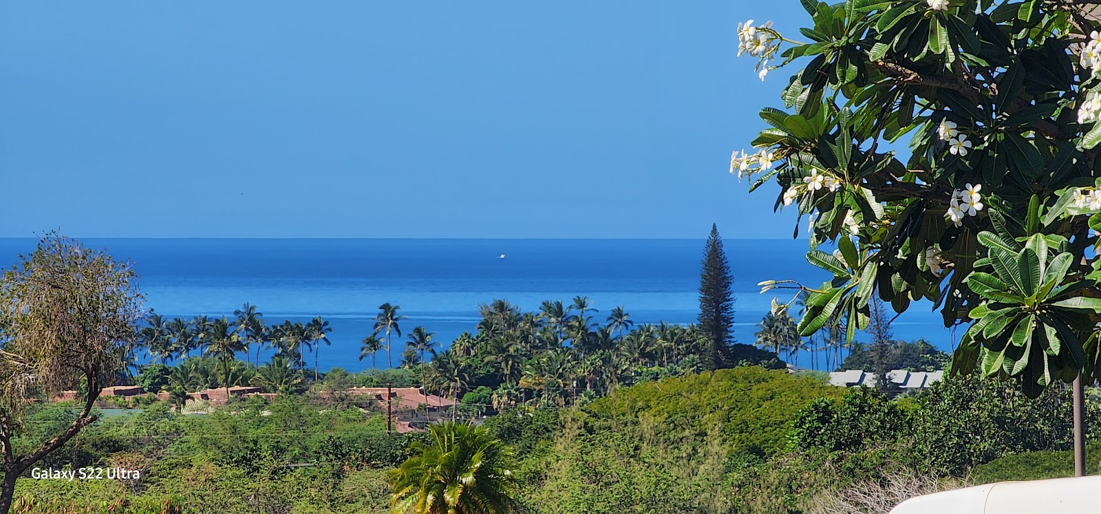 South Maui Golf & Repair