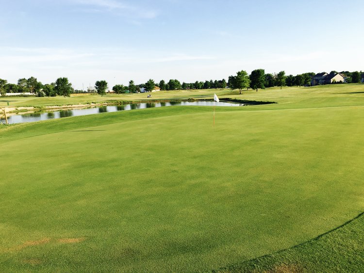 North Greens Golf Course - Golf Course
