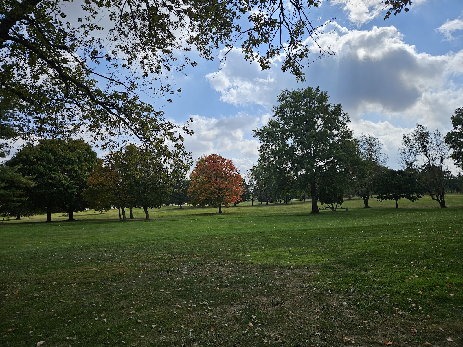 Chippendale Golf Course - Golf Course