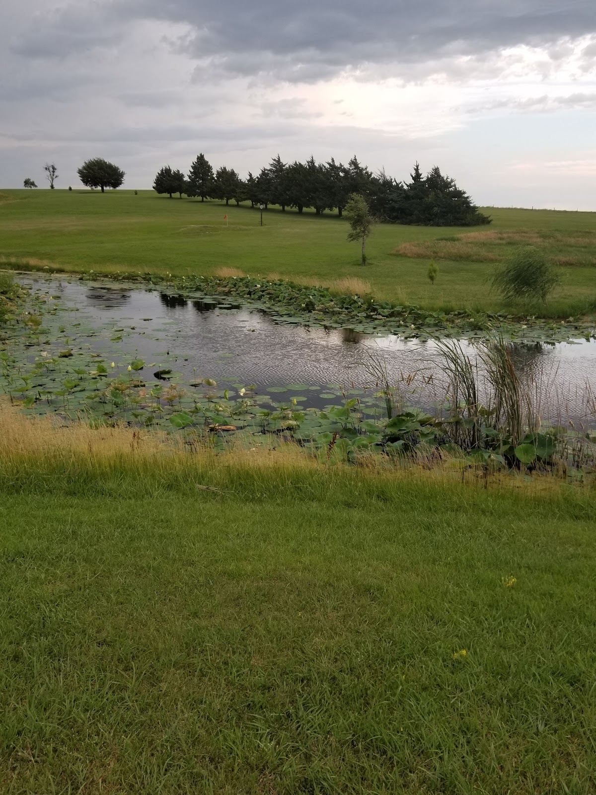 Lincoln Golf Club