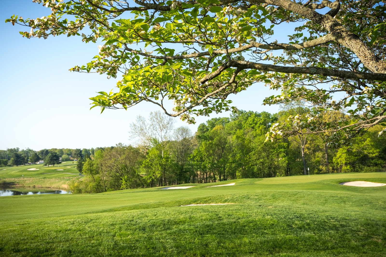 Falls Road Golf Course - Golf Course