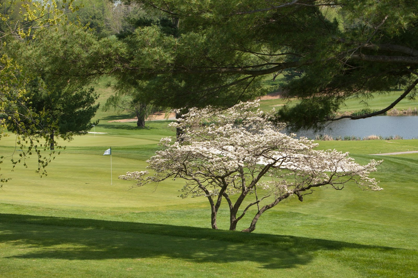 Needwood Golf Course