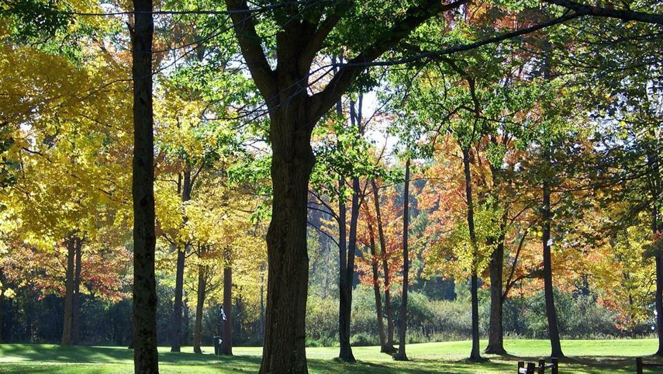 Missaukee Golf Club - Golf Course