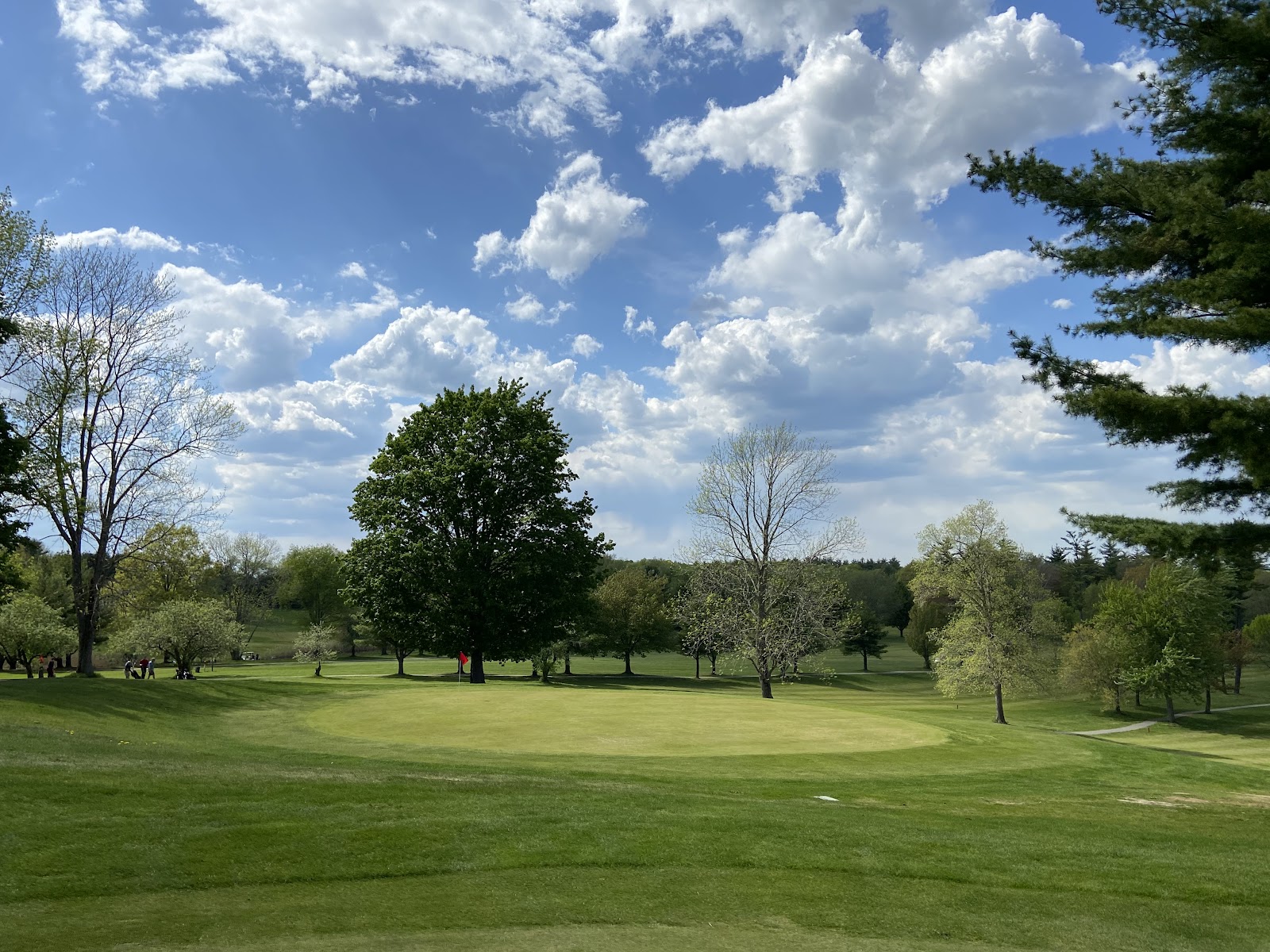 Apple Hill Golf Course - Golf Course