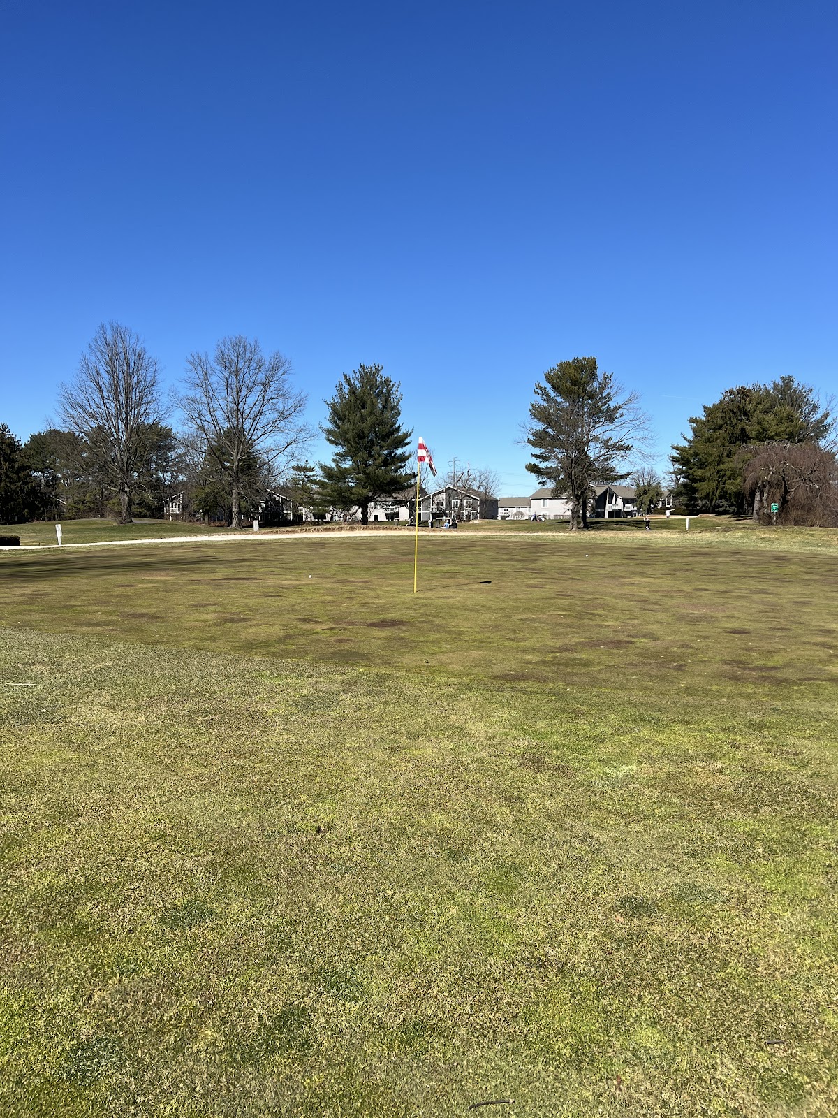 The Meadows At Middlesex